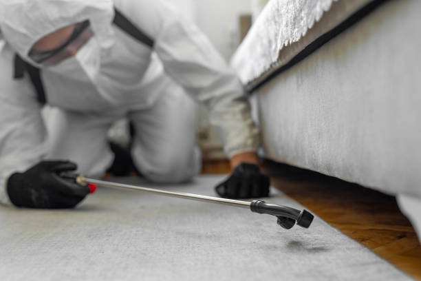 Professional Bed Bug Control technician working in Geneva, IL